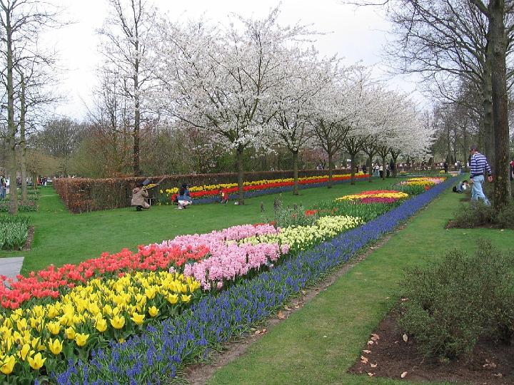 Keukenhof-02.jpg - Im 15. Jahrhundert war das Gebiet, in dem sich der Keukenhof befindet, noch unberührte Natur und Eigentum von Jakoba von Bayern.