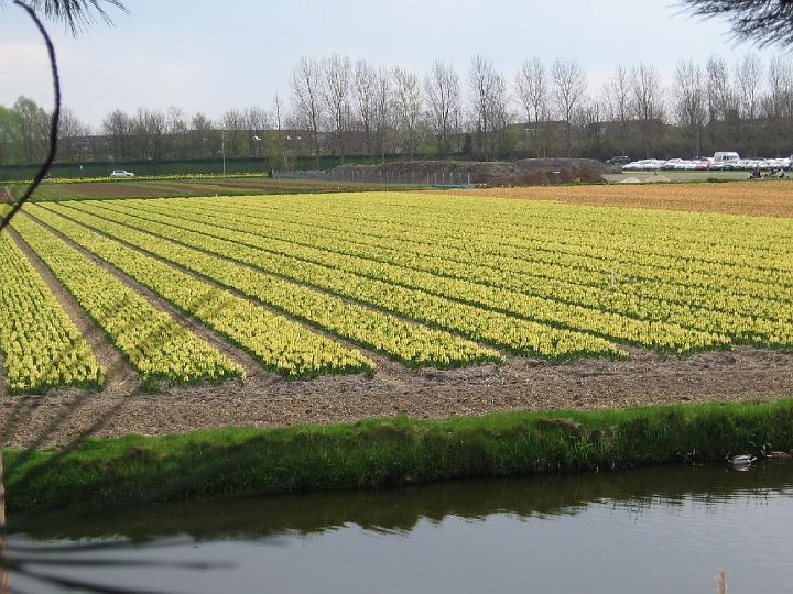 Keukenhof-03.jpg - Außer zur Jagd wurde das Landgut dafür genutzt, Kräuter für die Schlossküche anzubauen. Daher der Name Keukenhof (Küchengarten).