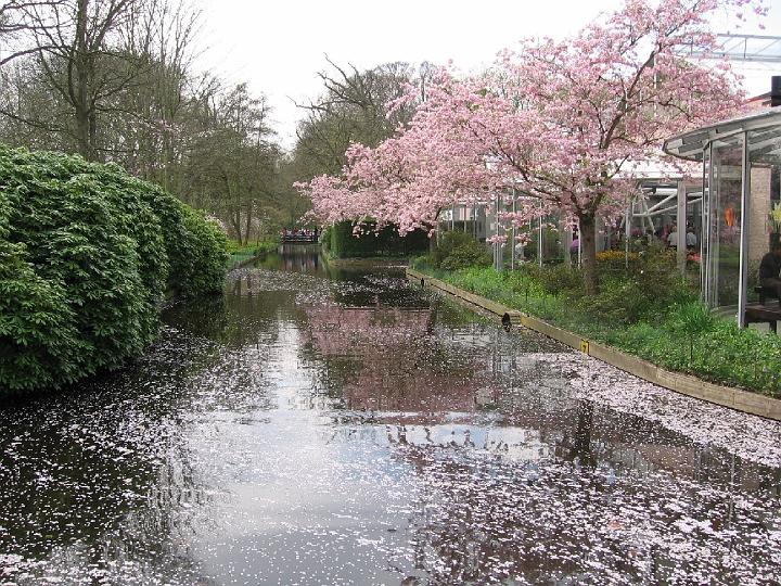 Keukenhof-12.jpg - Der Keukenhof ist mit seinen 32 Hektar aber auch der größte Skulpturenpark der Niederlande, mit 150 Werken von 50 Künstlern.