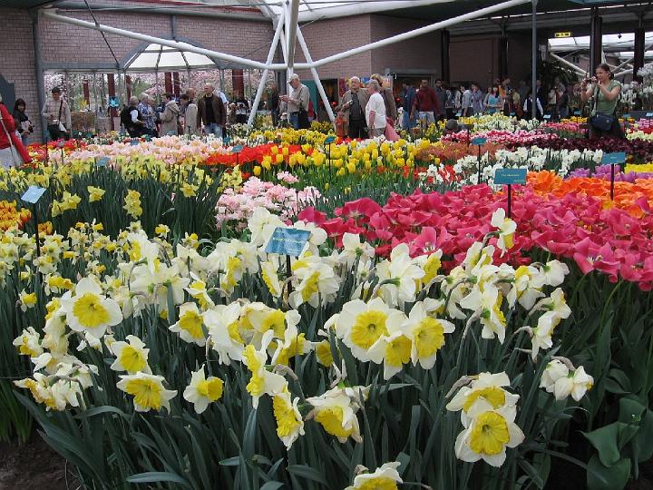 Keukenhof-15.jpg - Aber auch die vielen Gebäude mit ihrer prachtvollen Ausstattung sind ein Besuch wert. Aber bei schönem Wetter bleibt man lieber draußen.
