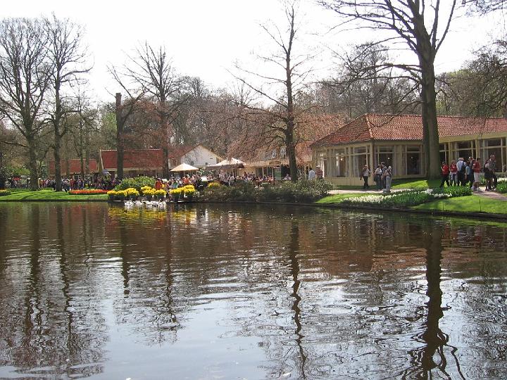 Keukenhof-18.jpg - Man gelangt von Amsterdam aus mit Bussen problemlos zum Keukenhof.