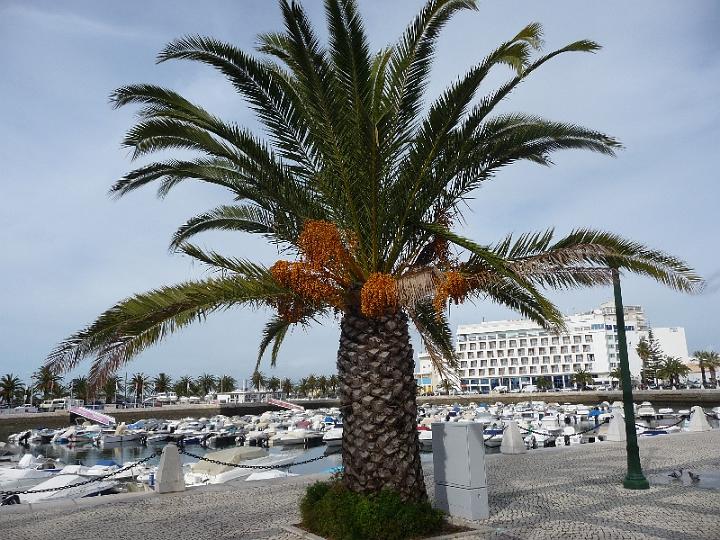 Faro-05.JPG - Heute ist Faro Distrikthauptstadt und Sitz eines gleichnamigen Kreises zu dem die Gemeinden Conceição , Estói, Montenegro und Santa Bárbara de Nexe gehören.