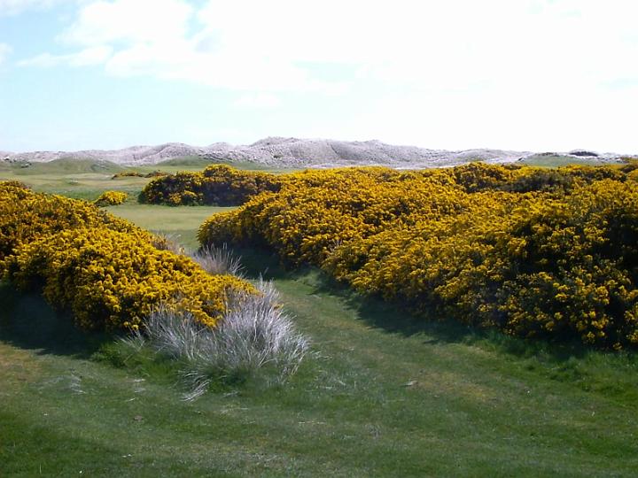 Golfsport-28.JPG - Die Open Championship, das älteste, noch heute gespielte Turnier, feiert 1860 ihre Premiere in Prestwick. Young Tom Morris gelingt 1867 das erste überlieferte Hole in One.